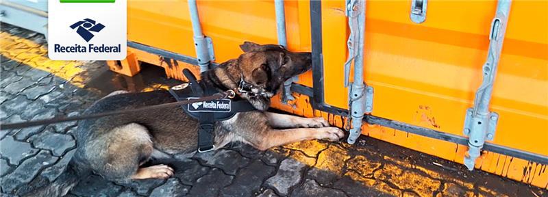 Mais de 1,5 tonelada da droga foi  apreendida, oculta em um carregamento de papel.