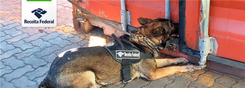 Apreensão de drogas