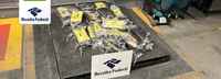 Receita Federal apreende 63 kg de cocaína no Porto de Salvador