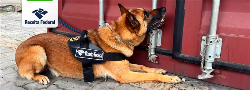 A droga estava oculta em uma carga de colágeno hidrolisado de origem bovina.