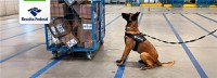 Cão de faro da Receita Federal encontra ecstasy em ração para cachorro em transportadora no Rio de Janeiro