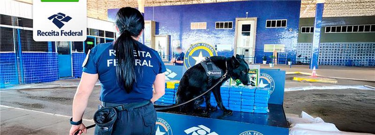 Apreensão de droga