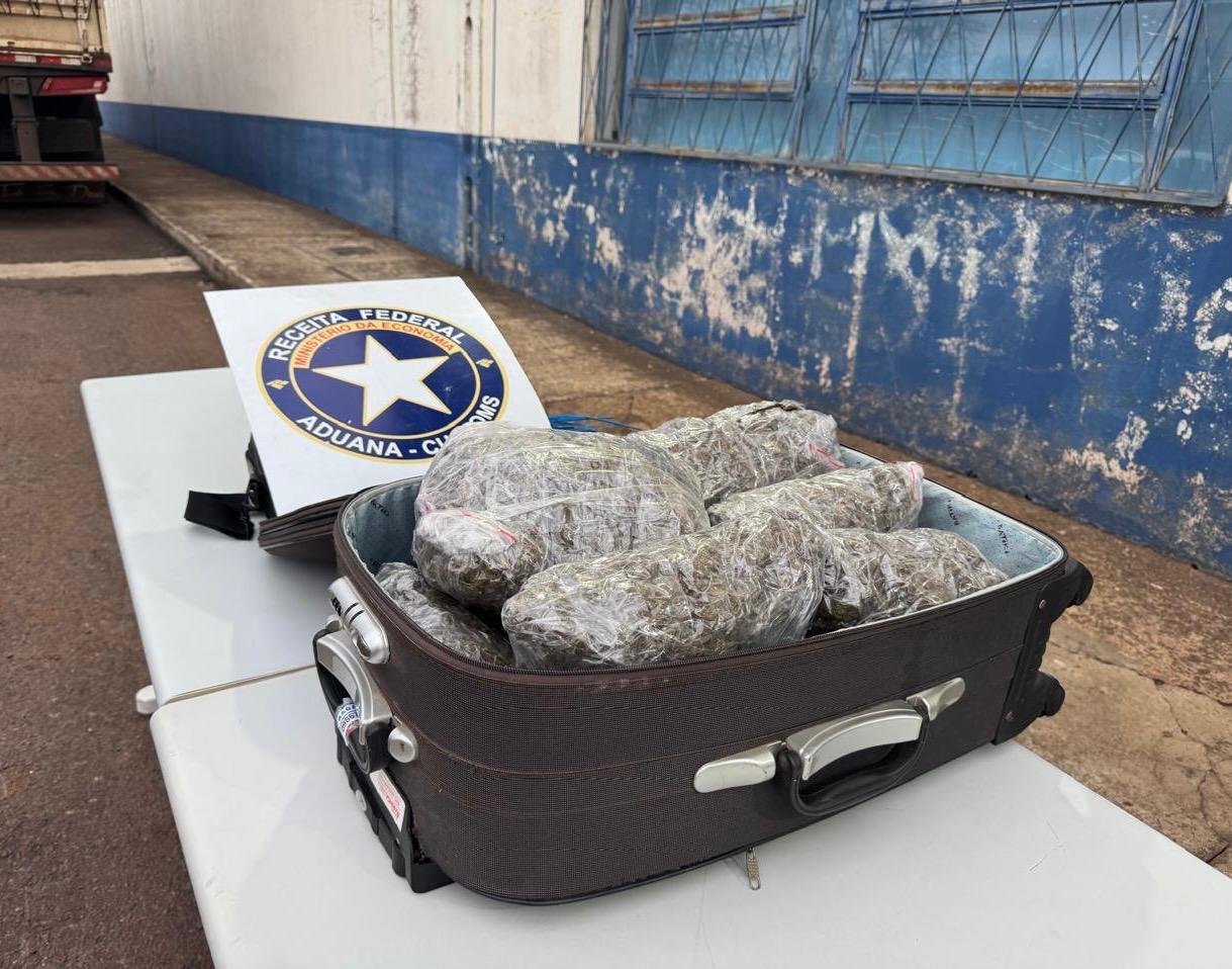 Apreensão Cascavel PR