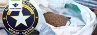 Receita Federal retém pellets de madeira com suspeita de contaminação por cocaína, no Porto de Itapoá