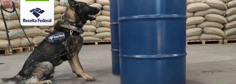 Apreensão de de cloreto de metileno