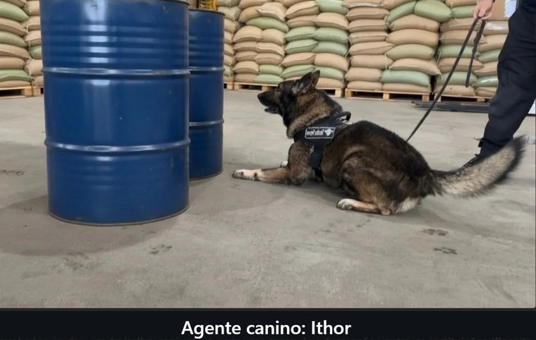 Apreensão de de cloreto de metileno