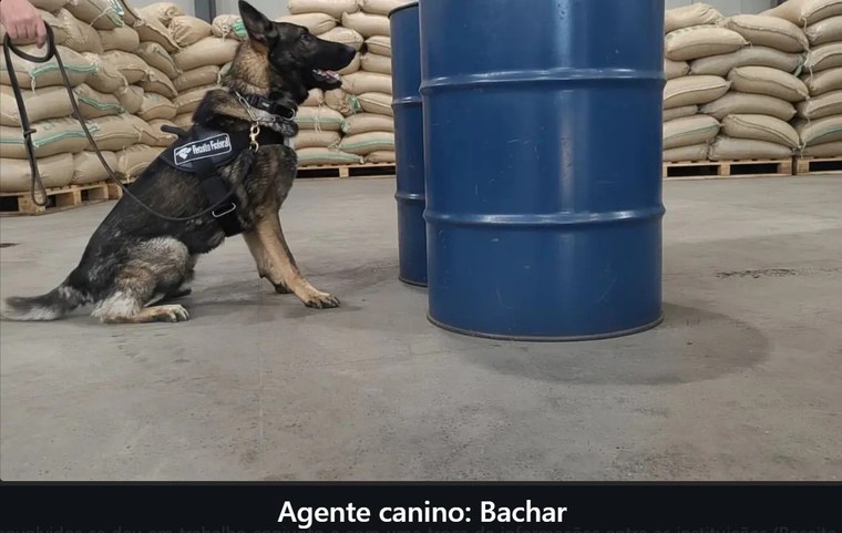 Apreensão de de cloreto de metileno