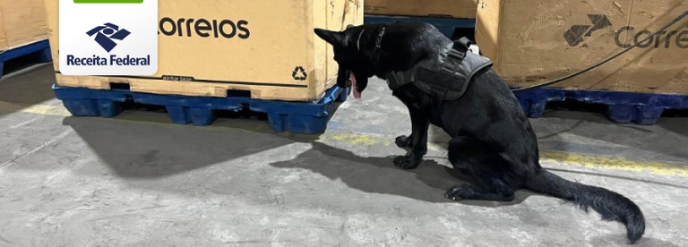Apreensão correios RJ