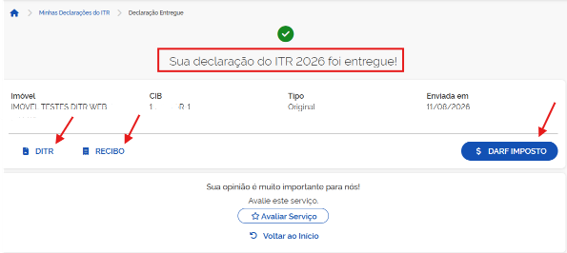 imagem7