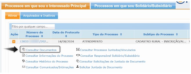 Processo Interessado Principal