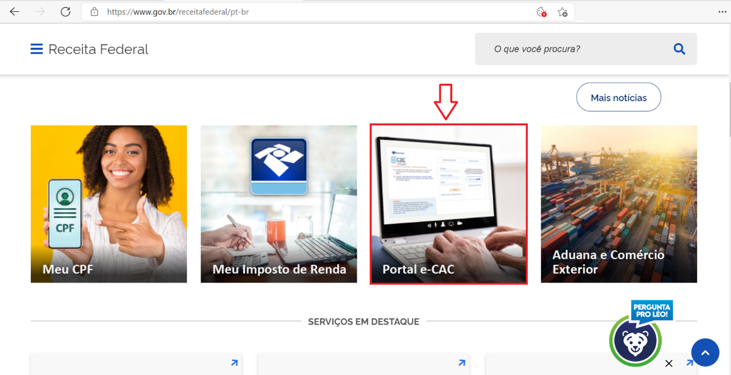 Portal e-Cac.png