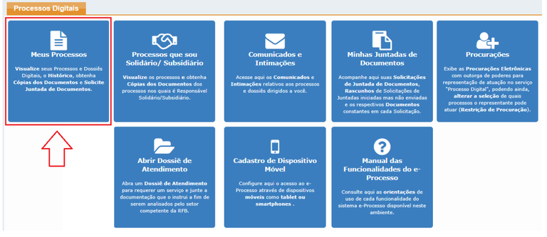 Meus Processos 1