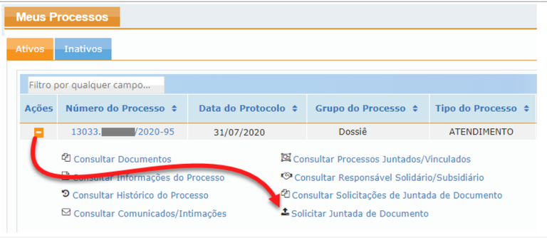 Meus processos
