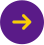 seta.png