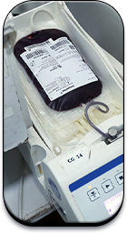 12 - img-hemorrede.png