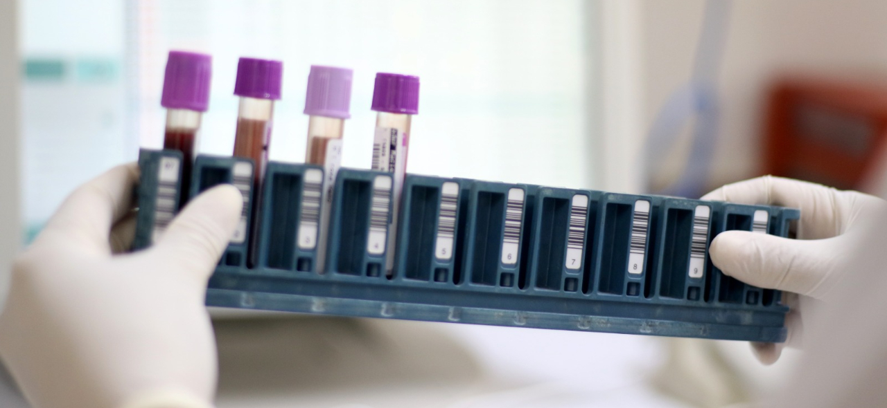 WhatsApp Image 2026-02-27 at 15.jpg