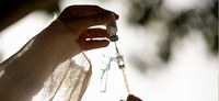 Saúde distribui mais 10,2 milhões de doses para todo o Brasil