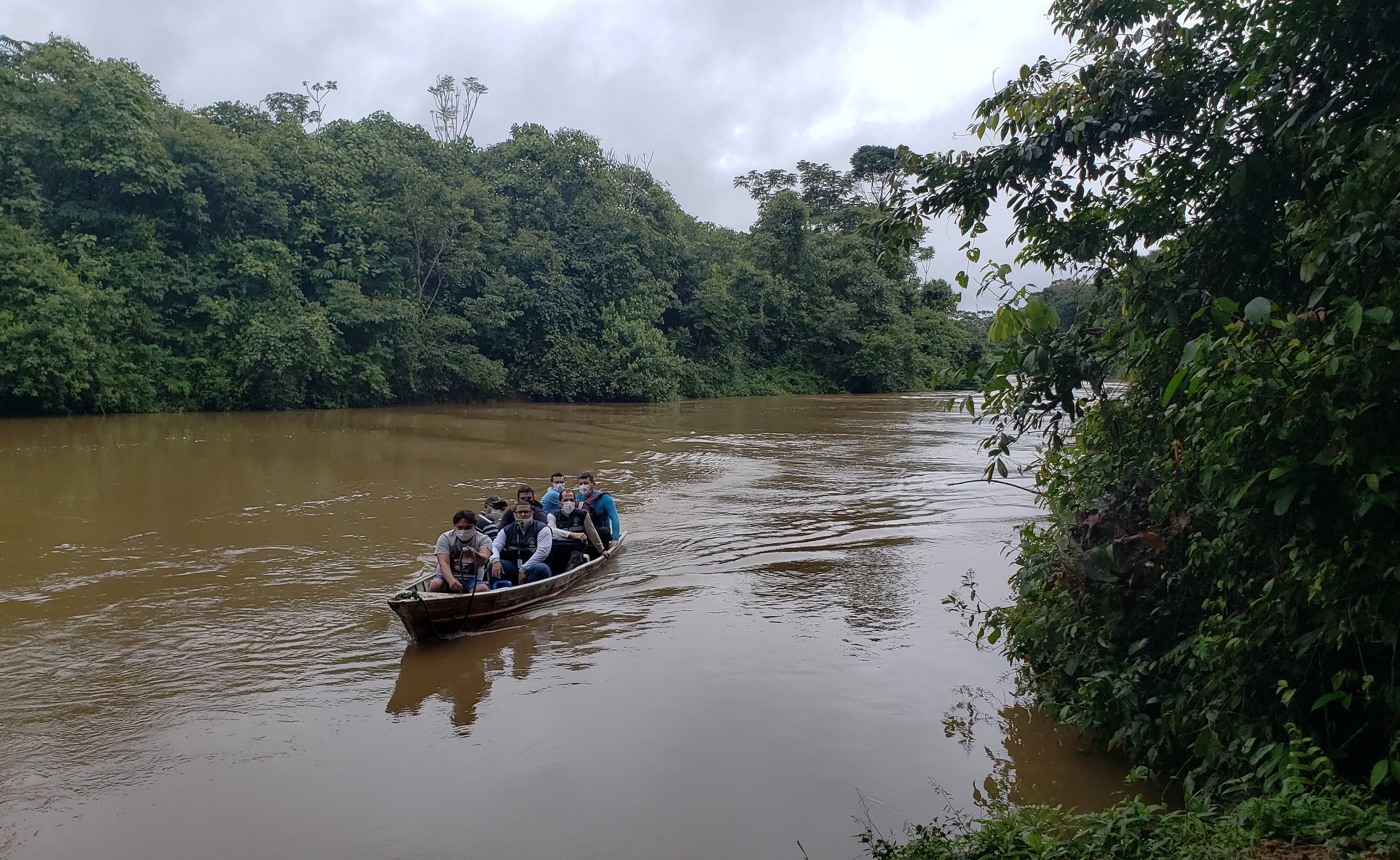 Caminhos da vacina 2