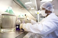 Escolhido pela OMS, Brasil vai sediar centro de transferência de tecnologia de vacinas