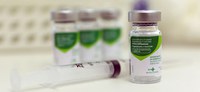 2ª etapa da Campanha de Vacinação contra a Influenza tem 44% do público vacinado; saiba por que vacinar