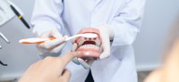 Escovação correta evita mau hálito e formação de placas nos dentes