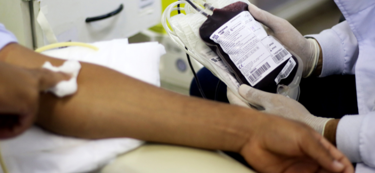 Do doador à transfusão: conheça o caminho que o sangue percorre depois da coleta