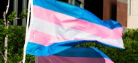 No Dia Nacional da Visibilidade Trans, Ministério da Saúde reafirma importância de intensificar ações contra discriminação