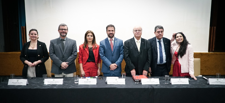 consulta pública.png