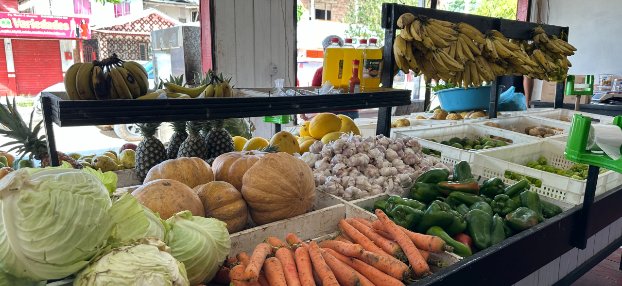 caravana alimentos pará.jpg