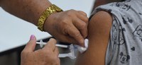 Ministério da Saúde pede atenção para vigilância e vacinação de febre amarela