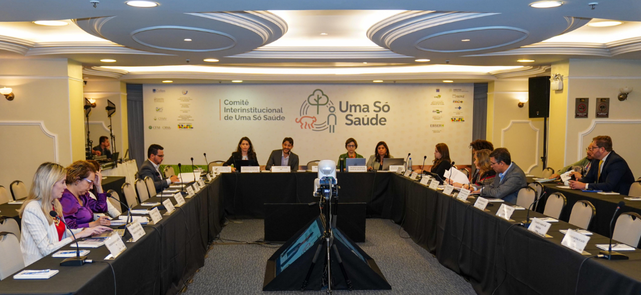 uma só saúde primeira reunião comitê.jpg
