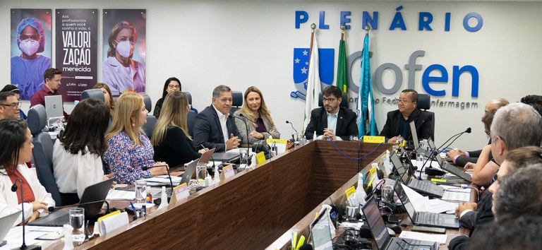 plenario cofen ethel.jpg