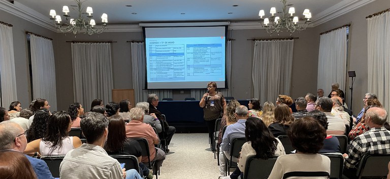 reunião plenaria redeleish.jpg