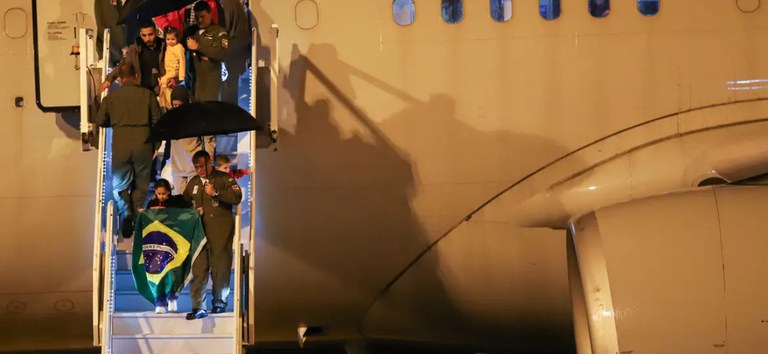 raizes do cedro desembarque.jpg