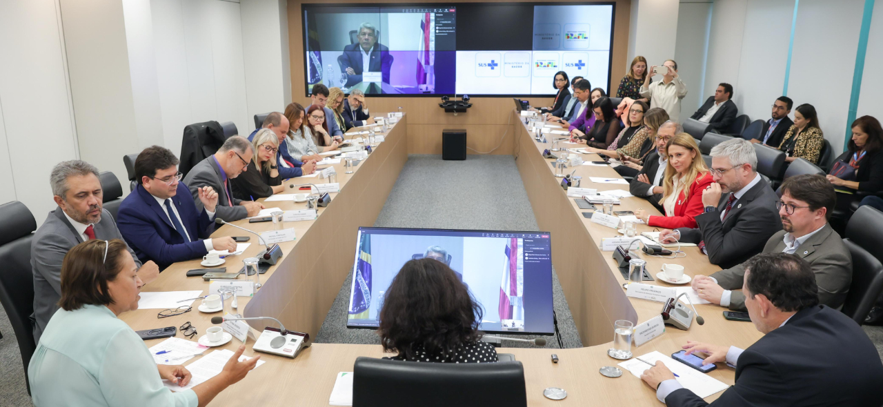 secretários reunião com ministra.jpg