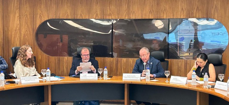 1ª reunião Ordinária do Comite de Governança de Pesquisa em Saúde_Foto Decit_Sectics.jpg