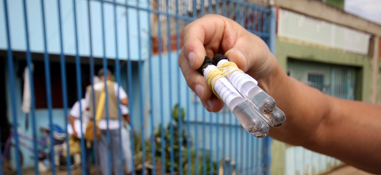 foco dengue frascos.jpg