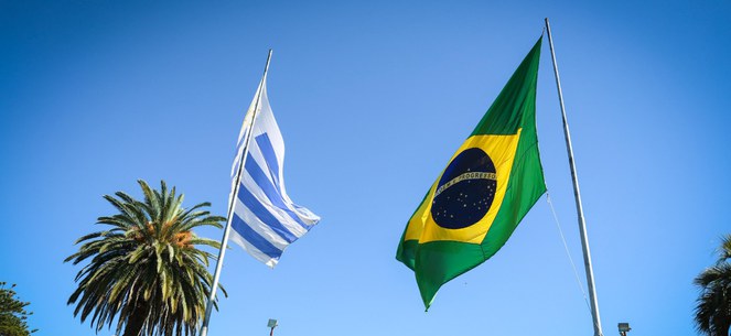 Foto: Walterson Rosa/MS