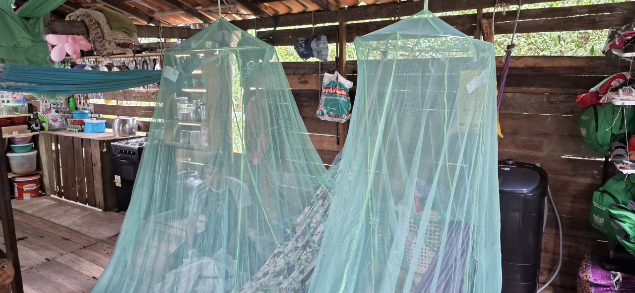 tela malária ações.jpg