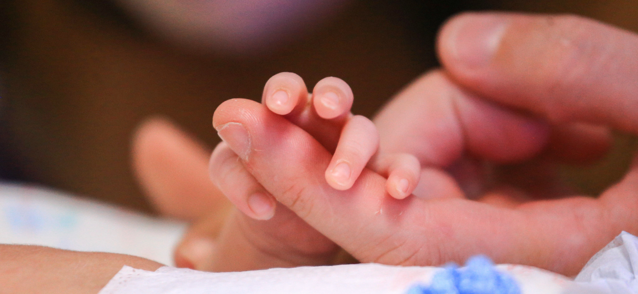 gestante pre maturo.jpg