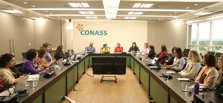 conass rede alyne reuniao.jpg