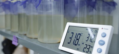 wolbito - foto - Jhonatan Cantarelle_Agência Saúde DF (1).jpg