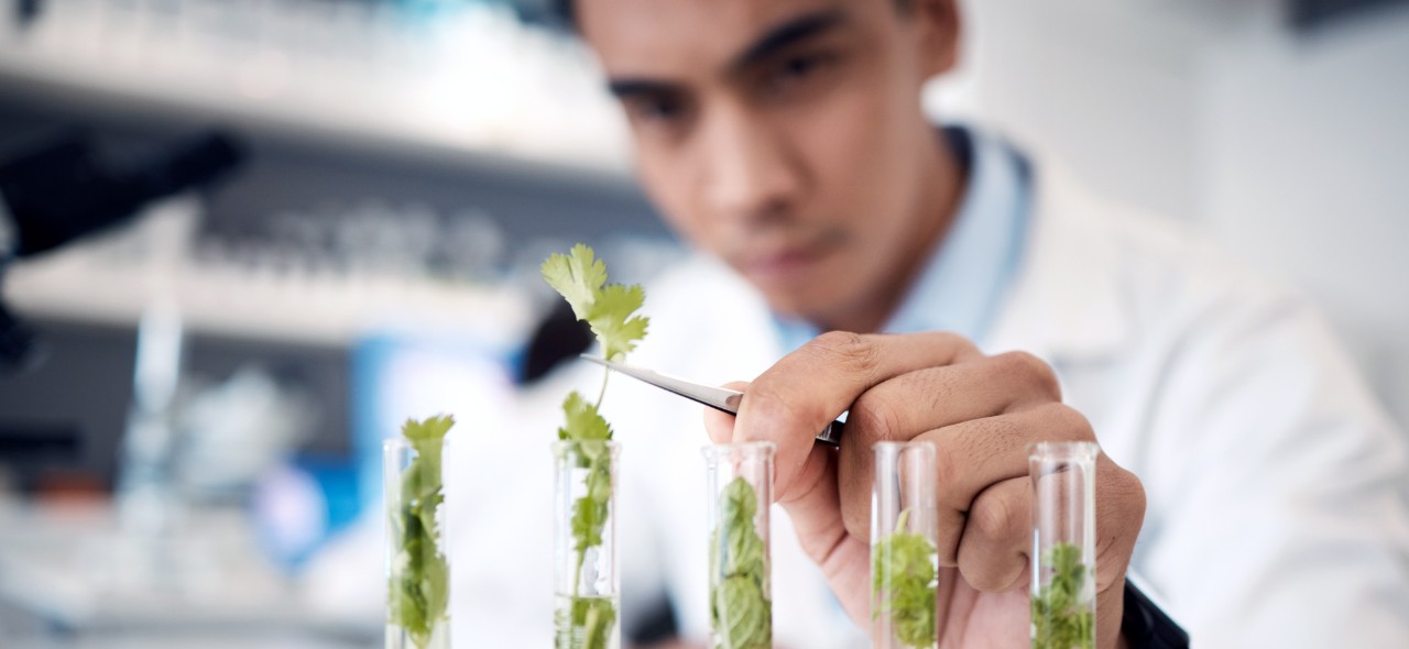 shutterstock_2233468367 (1).jpg