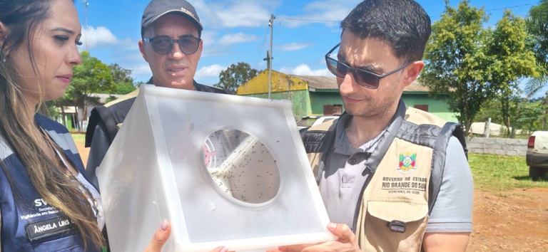 controle do Aedes aegypti