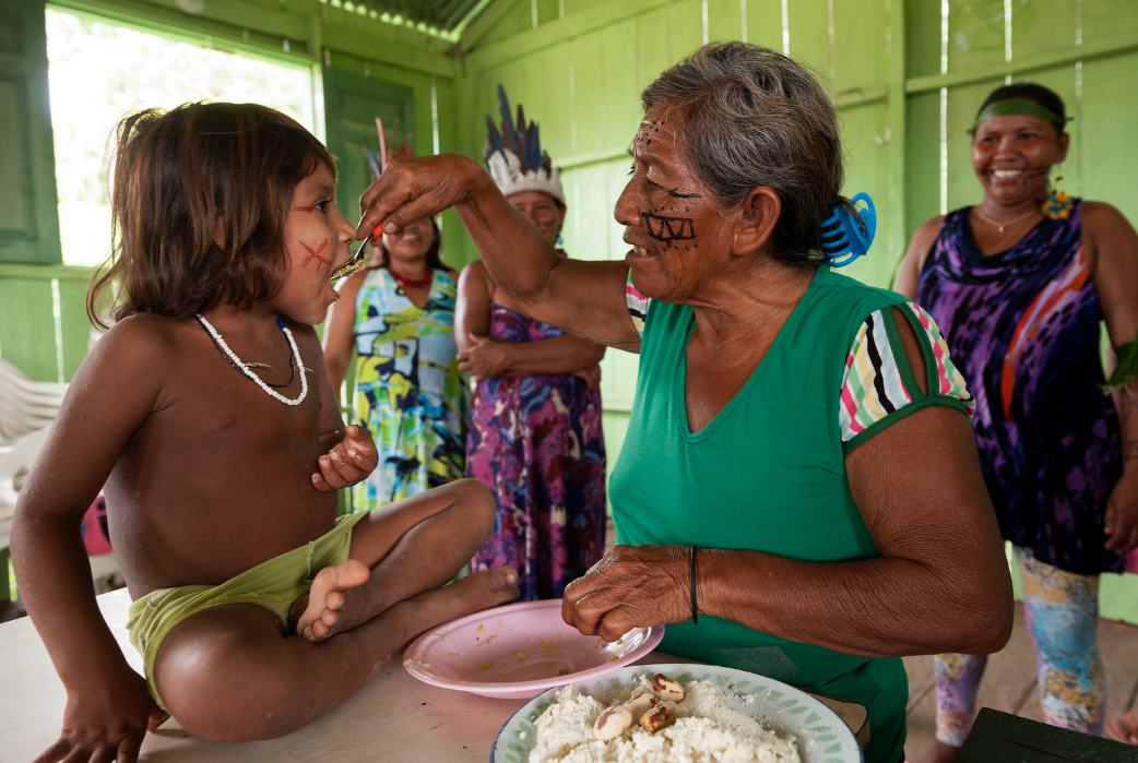 Saúde publica cartilha sobre alimentação indígena nas Casai