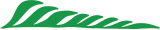 folha-titulo-linha.png