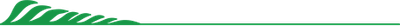 linha-titulo-completo.png