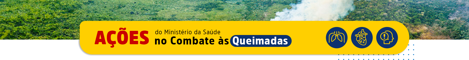 Ações MS Queimadas Notícias - desktop Amarelo.png
