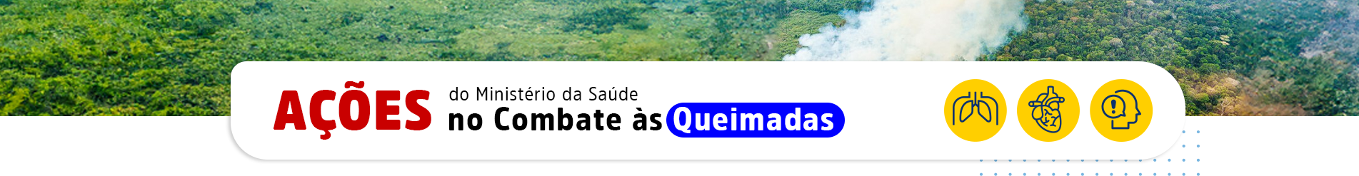 Ações MS Queimadas Notícias - Desktop Branco.png