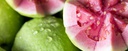 Imagem-Texto-guia-para-escolher-e-armazenar-frutas.jpg
